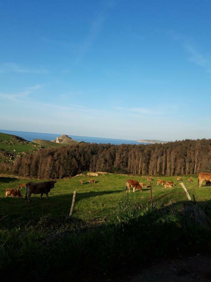 La Torruca Villa Orena Eksteriør billede